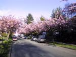 On the street. The house is somewhere on the right-hand side