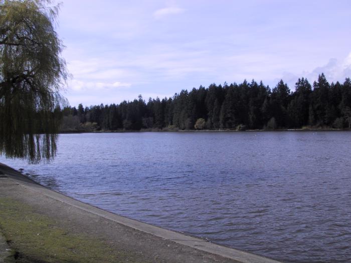 Stanley Park: Lost Lagoon