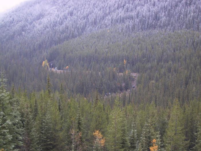 Spiral Tunnels - the railway enters the mountain at one point and leaves *on top* of it.