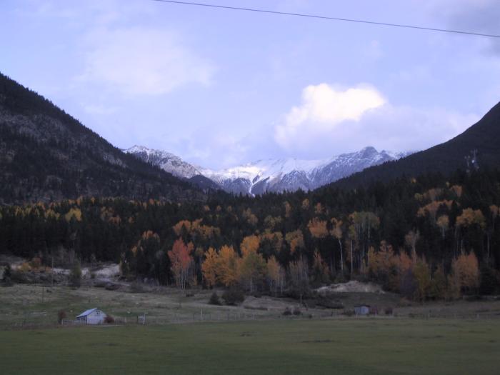 Near Golden.