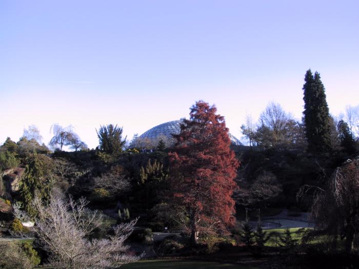 Bloedel Conservatory