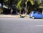 Cape Tribulation tour on Christmas Eve