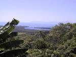 Cape Tribulation: tropical rainforest