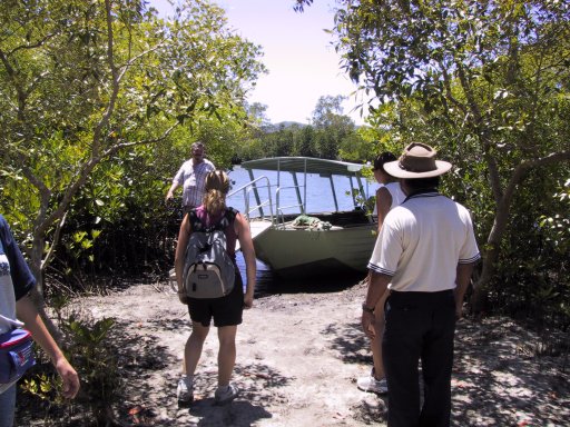 Cape Tribulation: river cruise