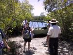 Cape Tribulation: river cruise