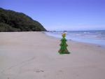 Cape Tribulation: beach fun with Christopher the Crazy Christmastree