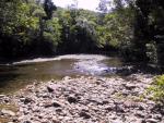 Further in the rainforest...