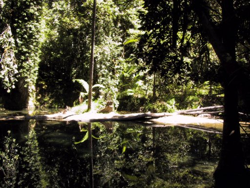 Most beautiful reflections ever...