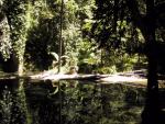 Most beautiful reflections ever...